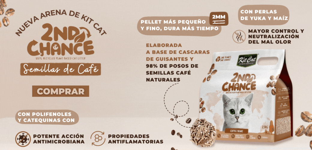 Nueva Arena Second Chance Kit Cat